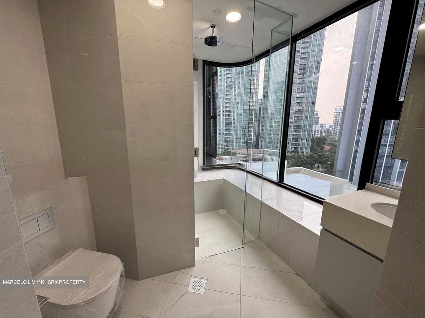 Thomson Road (D11), Apartment #619396771